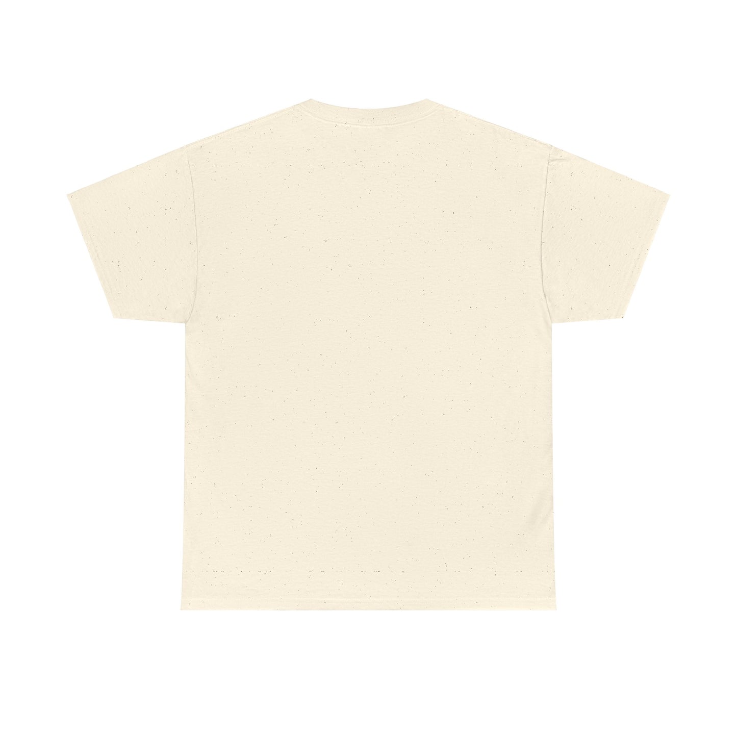 Sinissippi Lake Compass Rose Unisex Heavy Cotton Tee