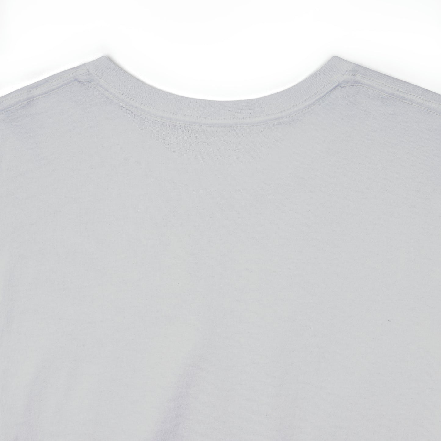 Expert Homes Unisex Heavyweight Tee