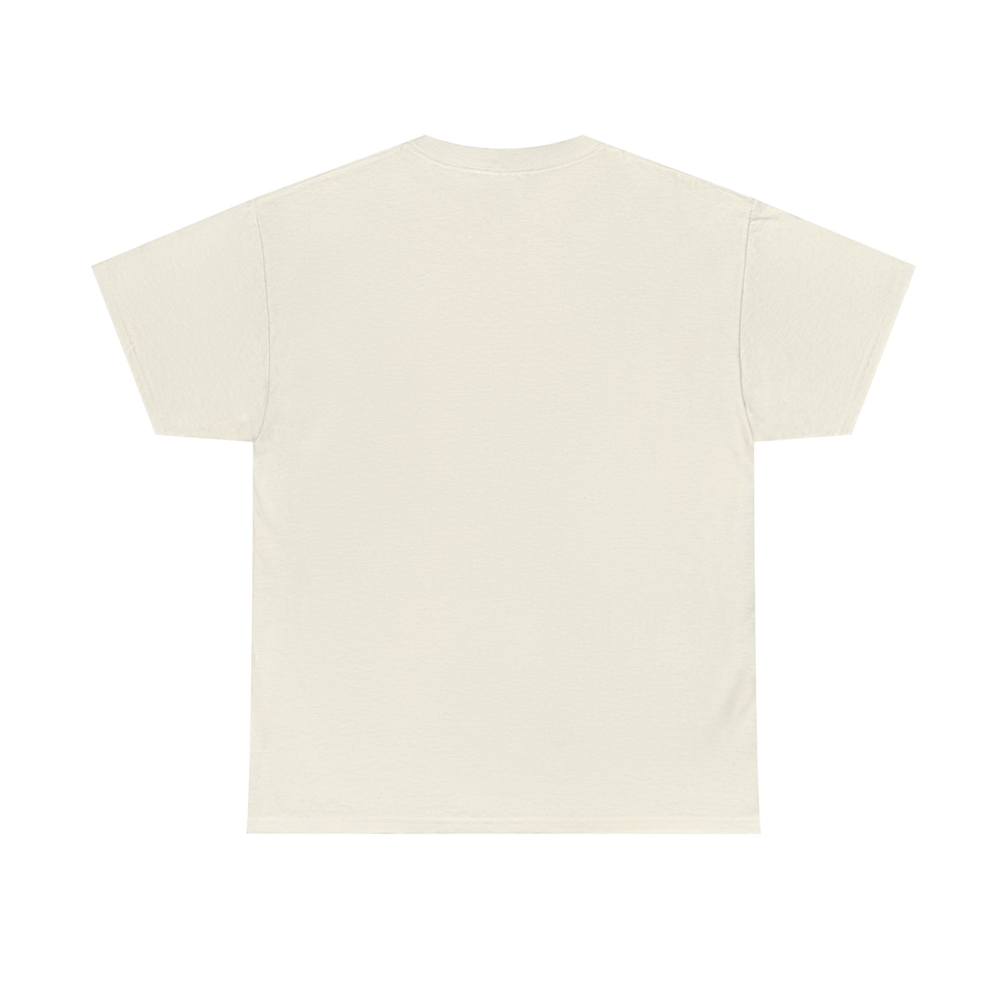 Manitowish Waters Plain Back - Unisex Heavyweight Short Sleeve Tee