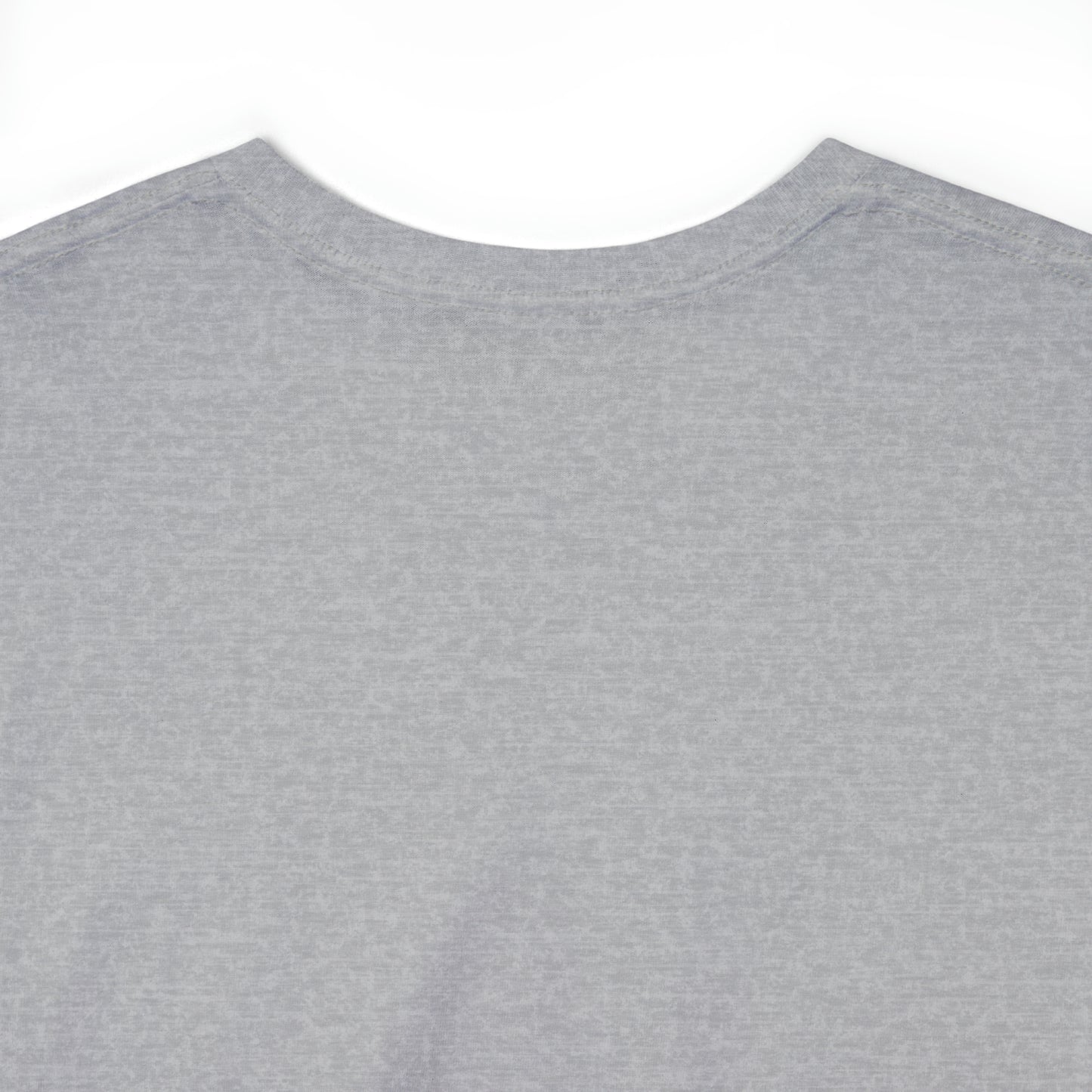 Expert Homes Unisex Heavyweight Tee