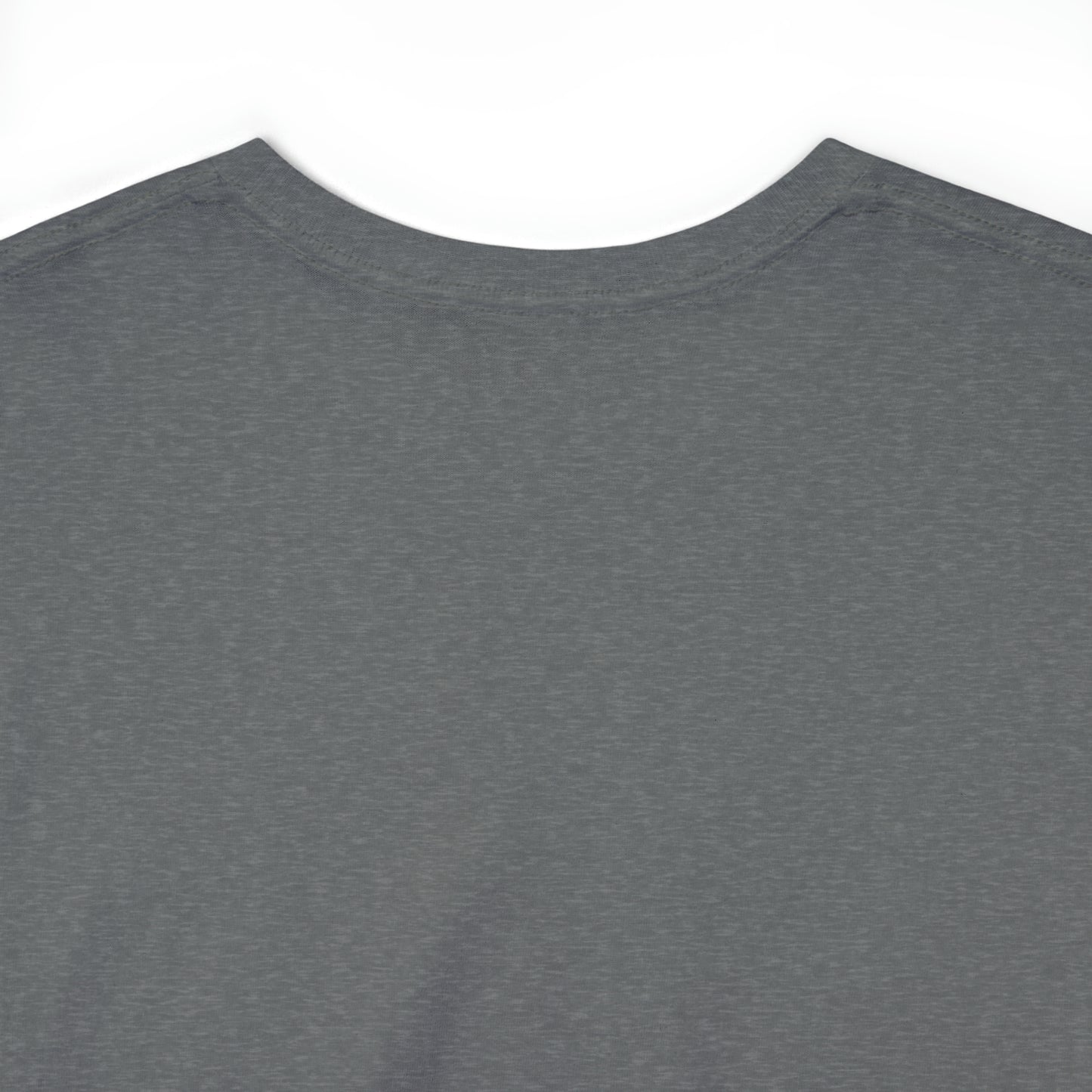 Expert Homes Unisex Heavyweight Tee