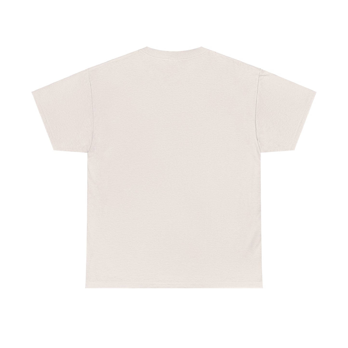 Sinissippi Lake Compass Rose Unisex Heavy Cotton Tee