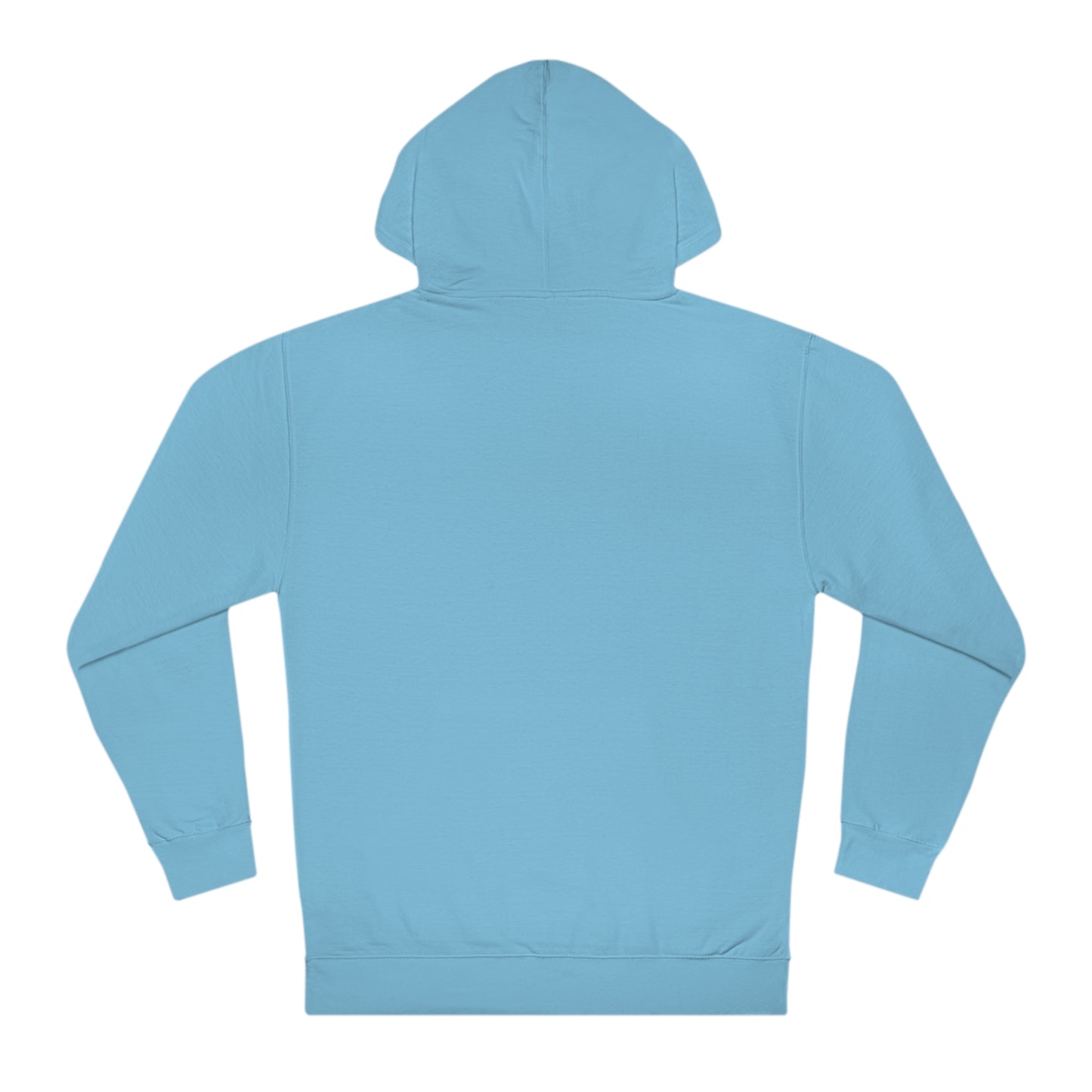 Lac LaBelle Compass Rose Unisex Hooded Sweatshirt ITC