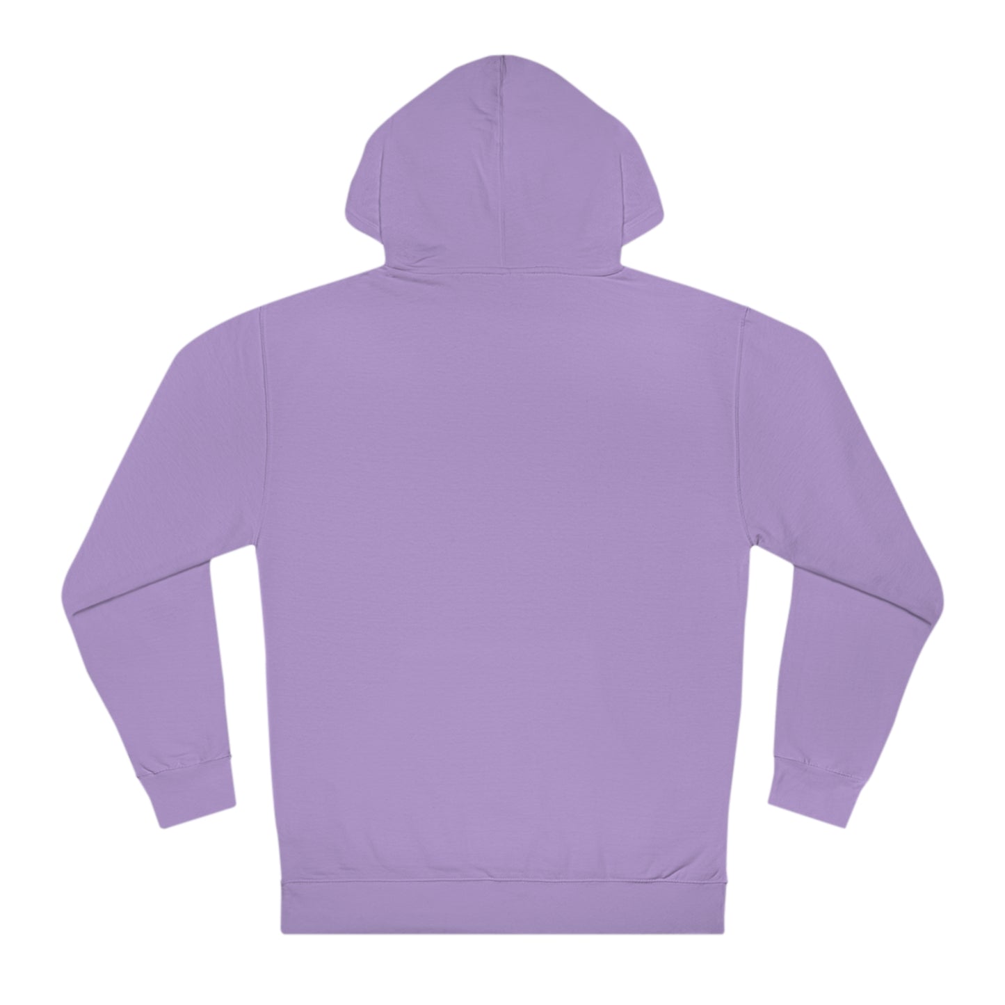 Lac LaBelle Compass Rose Unisex Hooded Sweatshirt ITC