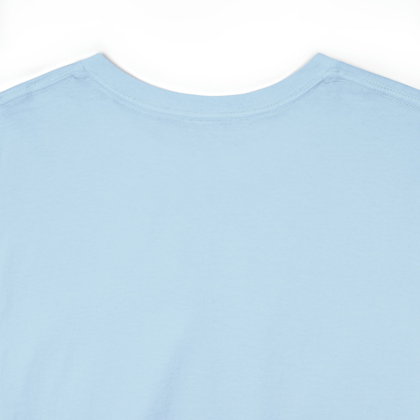 Expert Homes Unisex Heavyweight Tee