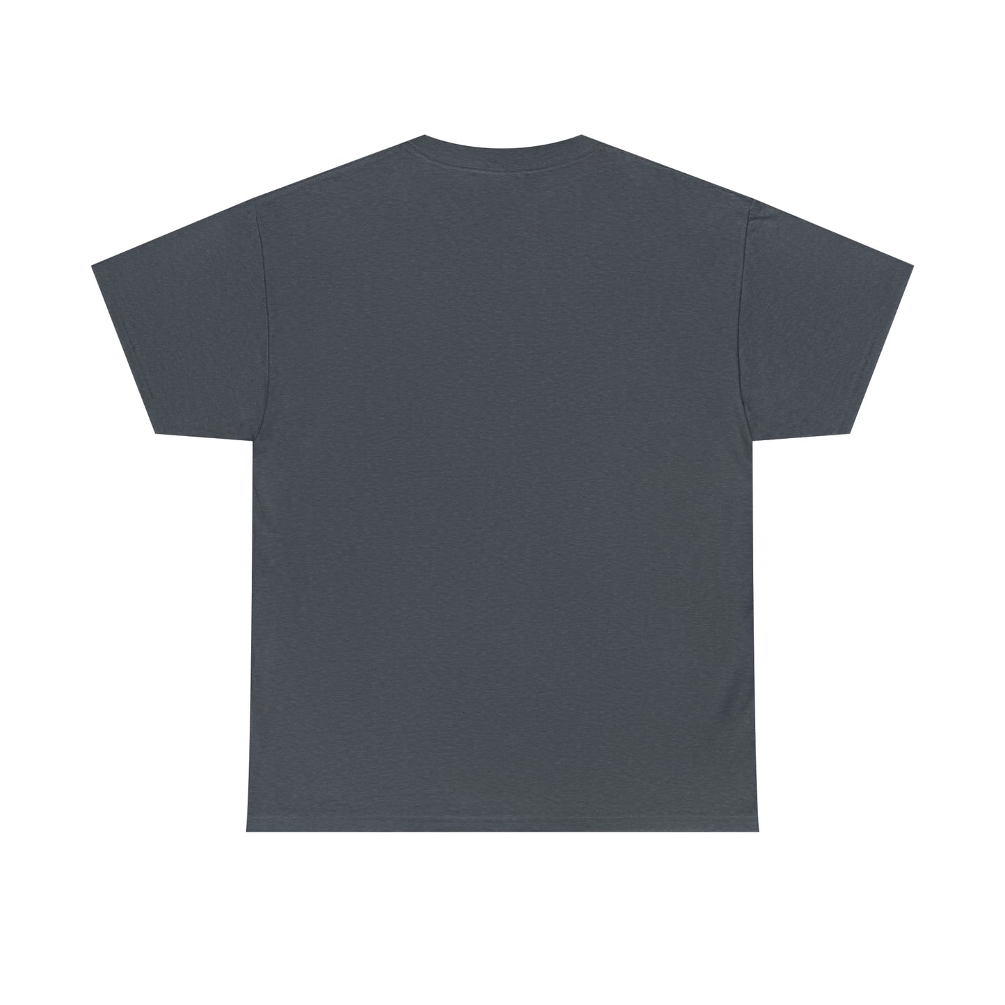 Manitowish Waters Plain Back - Unisex Heavyweight Short Sleeve Tee
