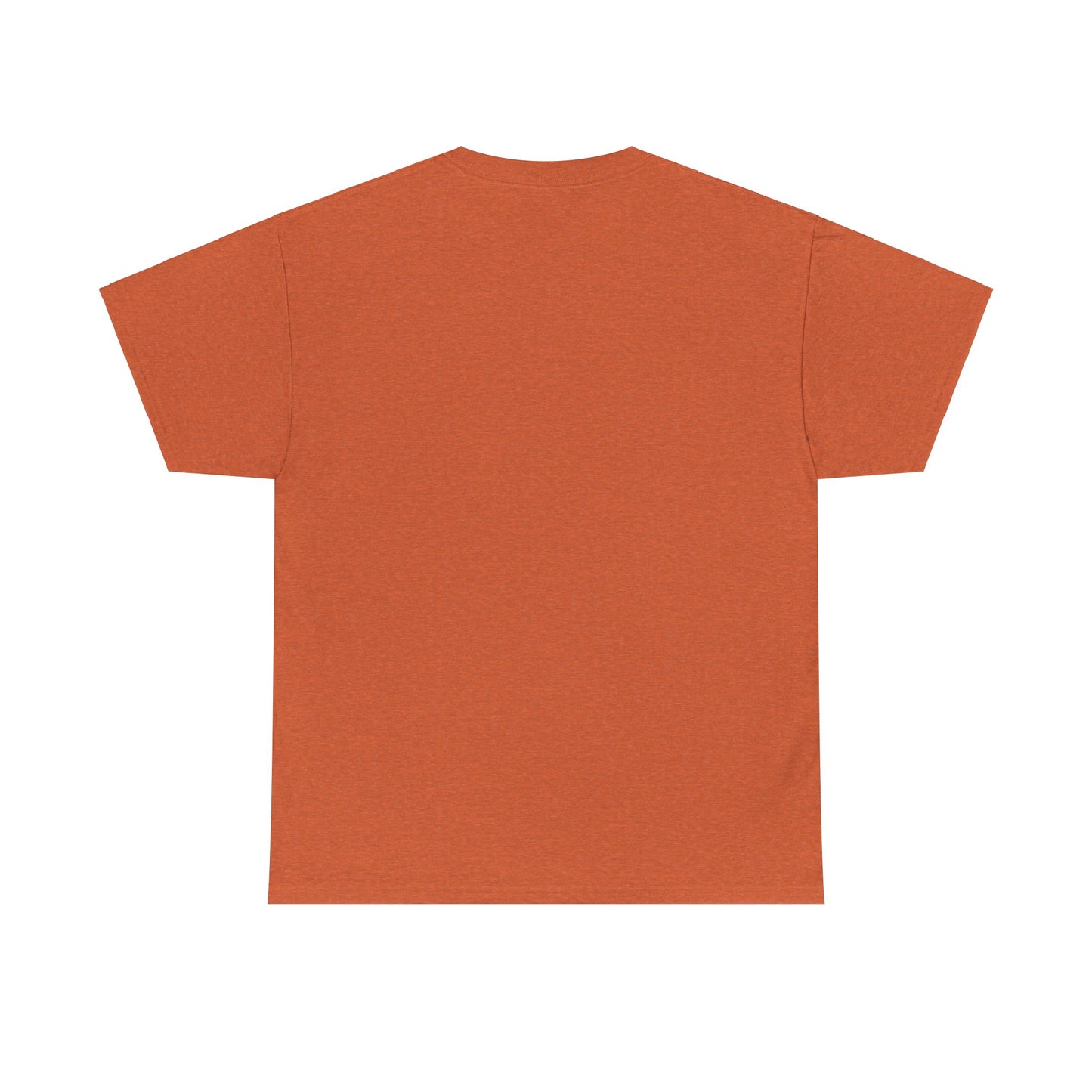 Sinissippi Lake Compass Rose Unisex Heavy Cotton Tee