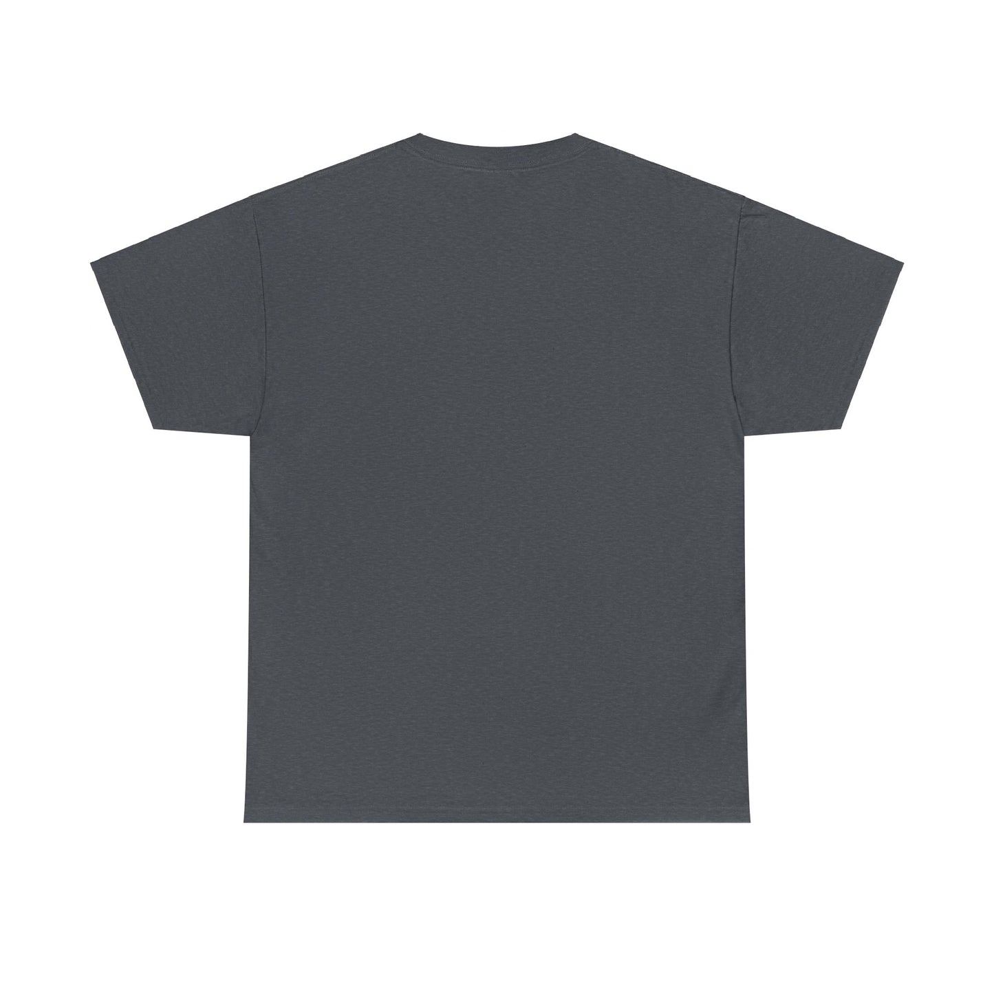 Lake Fowler Compass Rose Unisex Heavy Cotton Tee