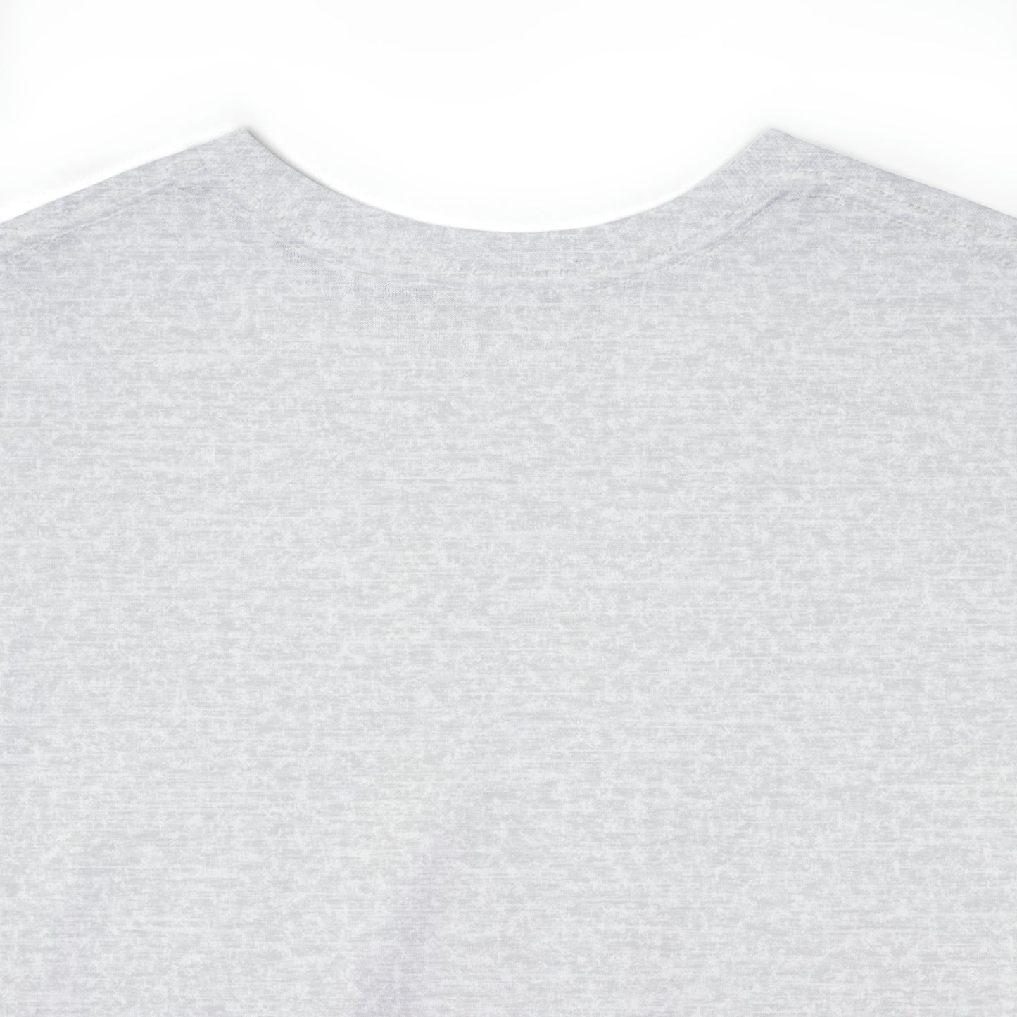 Expert Homes Unisex Heavyweight Tee