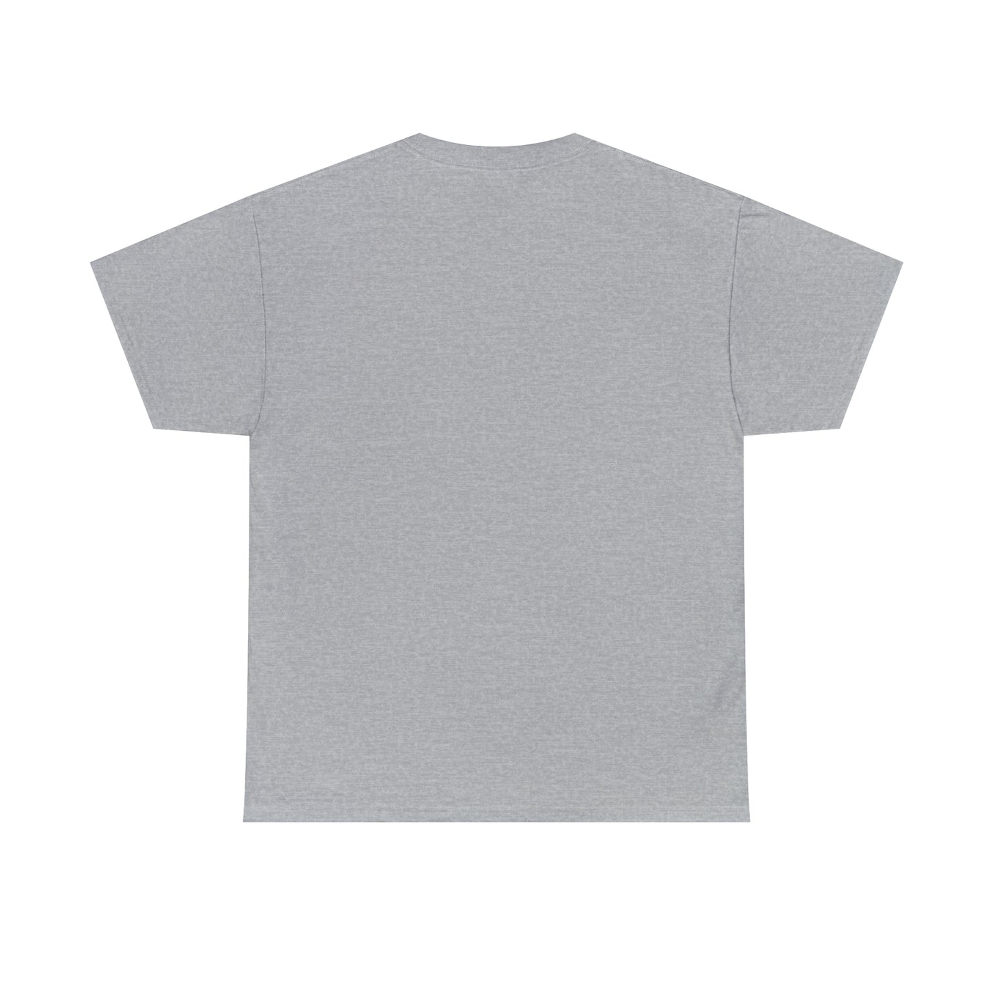 Expert Homes Unisex Heavyweight Tee