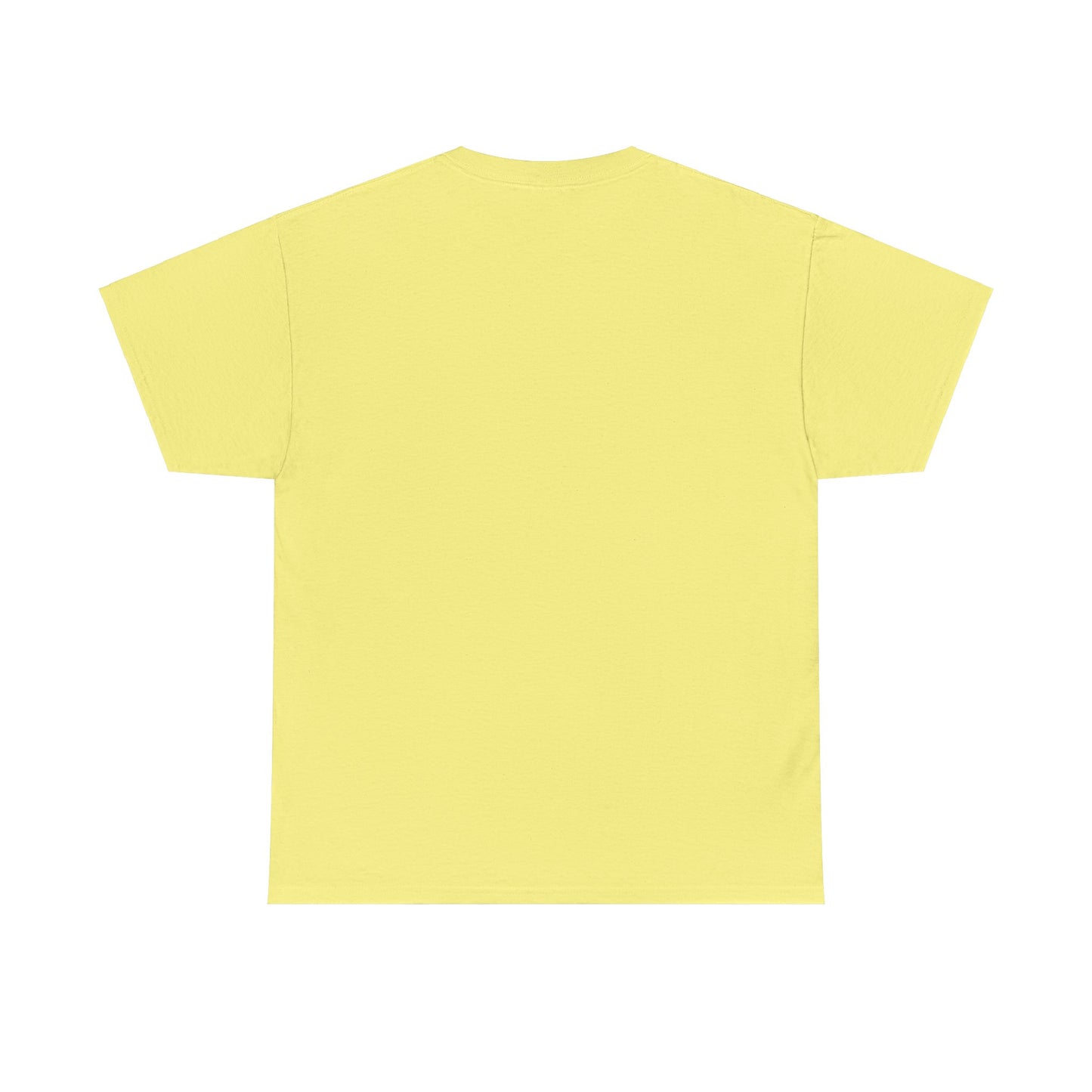 Sinissippi Lake Compass Rose Unisex Heavy Cotton Tee