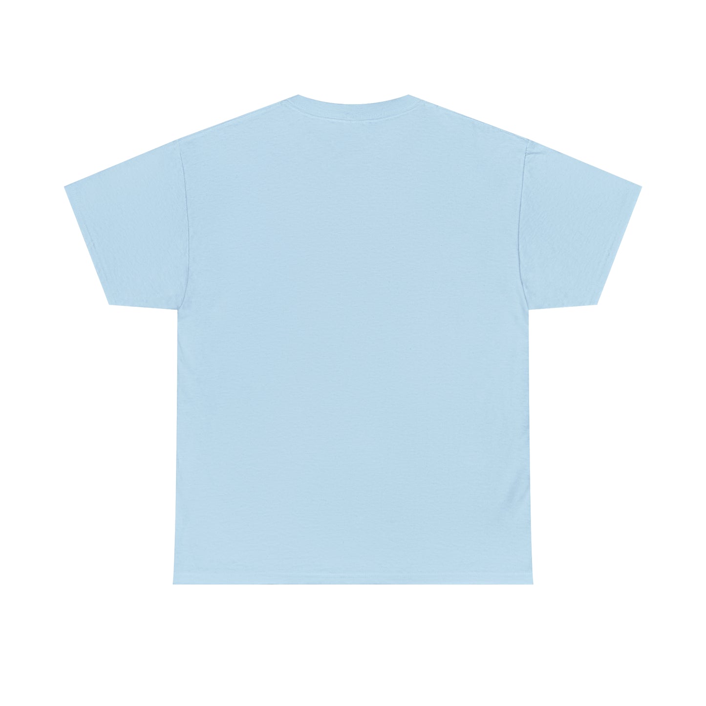 Manitowish Waters Plain Back - Unisex Heavyweight Short Sleeve Tee