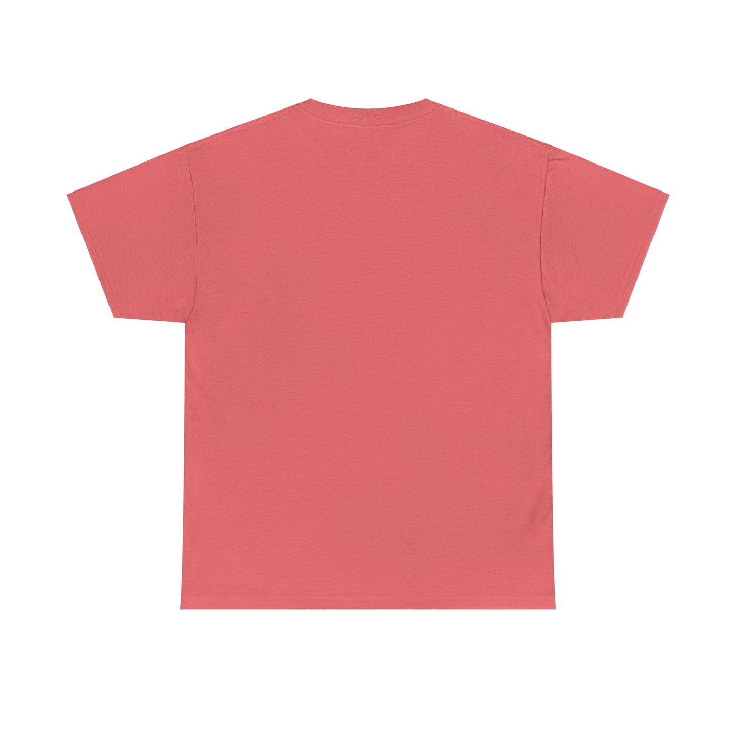 Sinissippi Lake Compass Rose Unisex Heavy Cotton Tee
