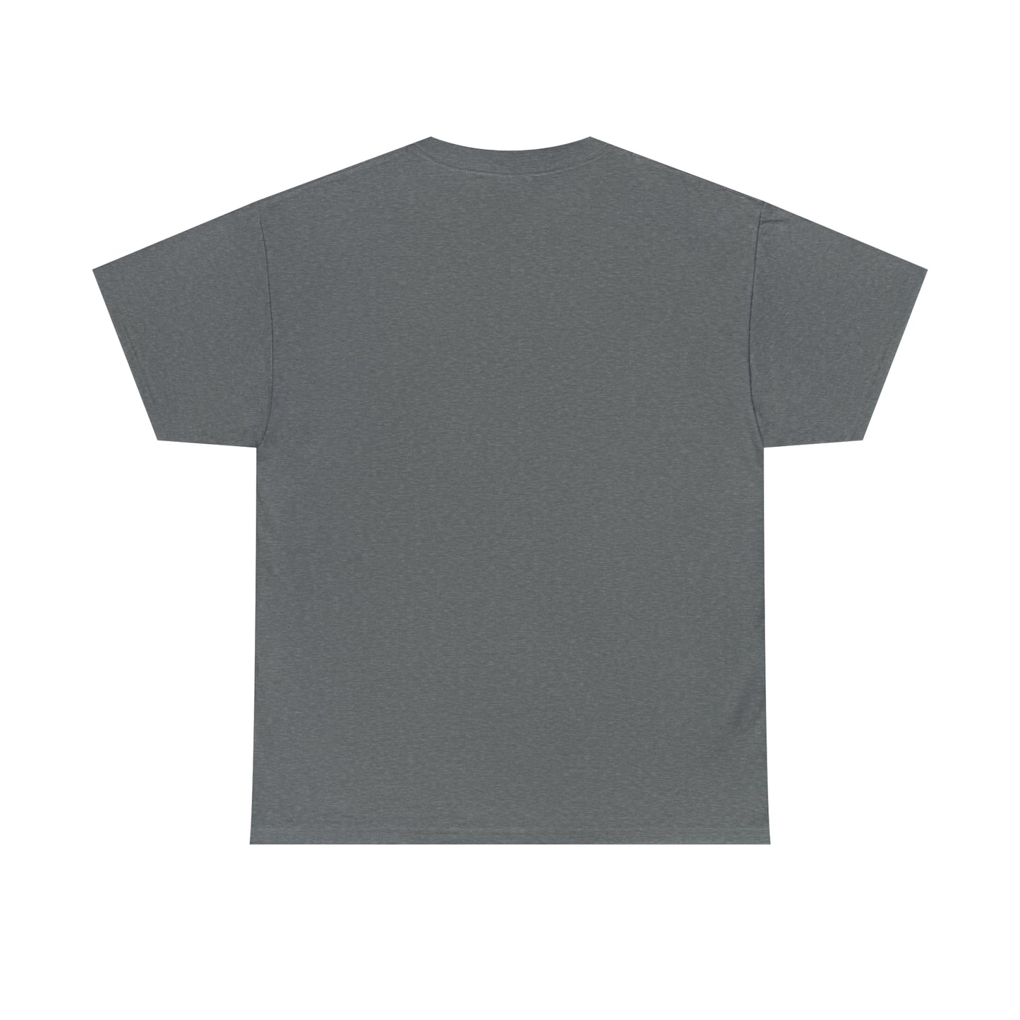 Expert Homes Unisex Heavyweight Tee