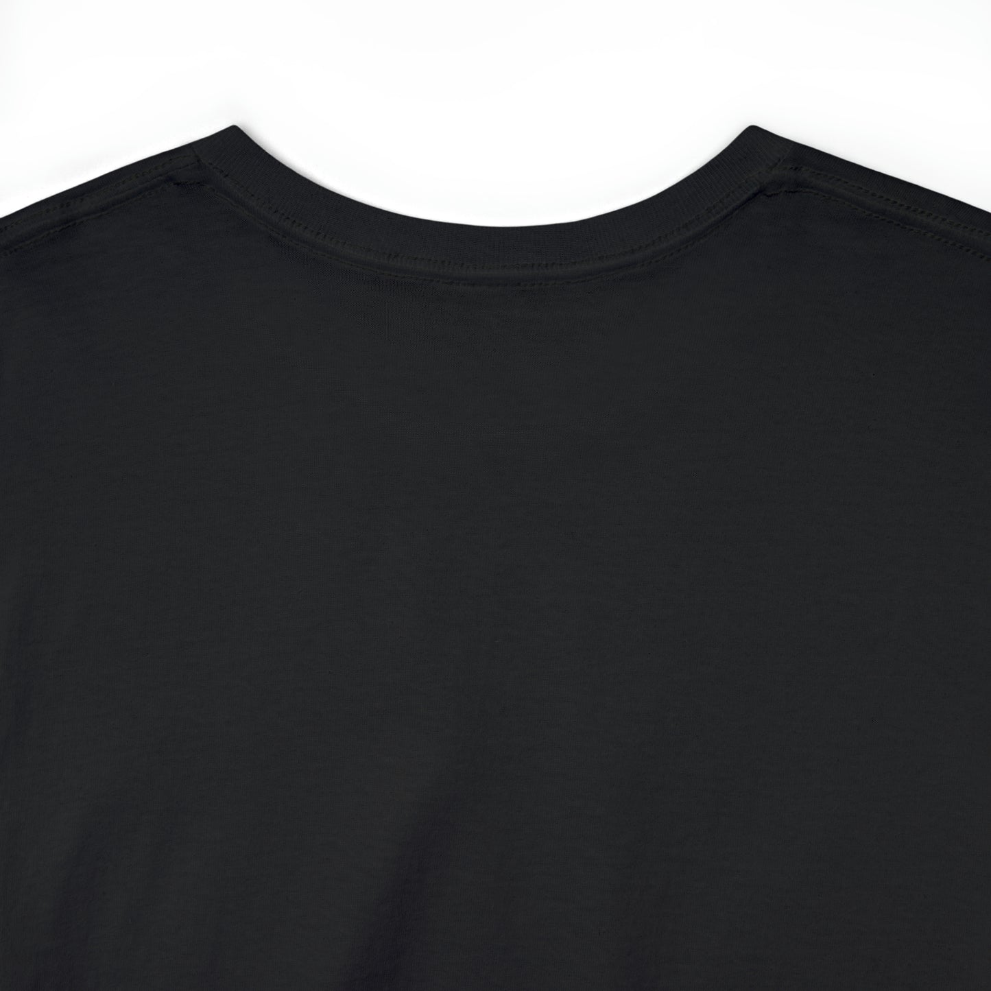 Expert Homes Unisex Heavyweight Tee