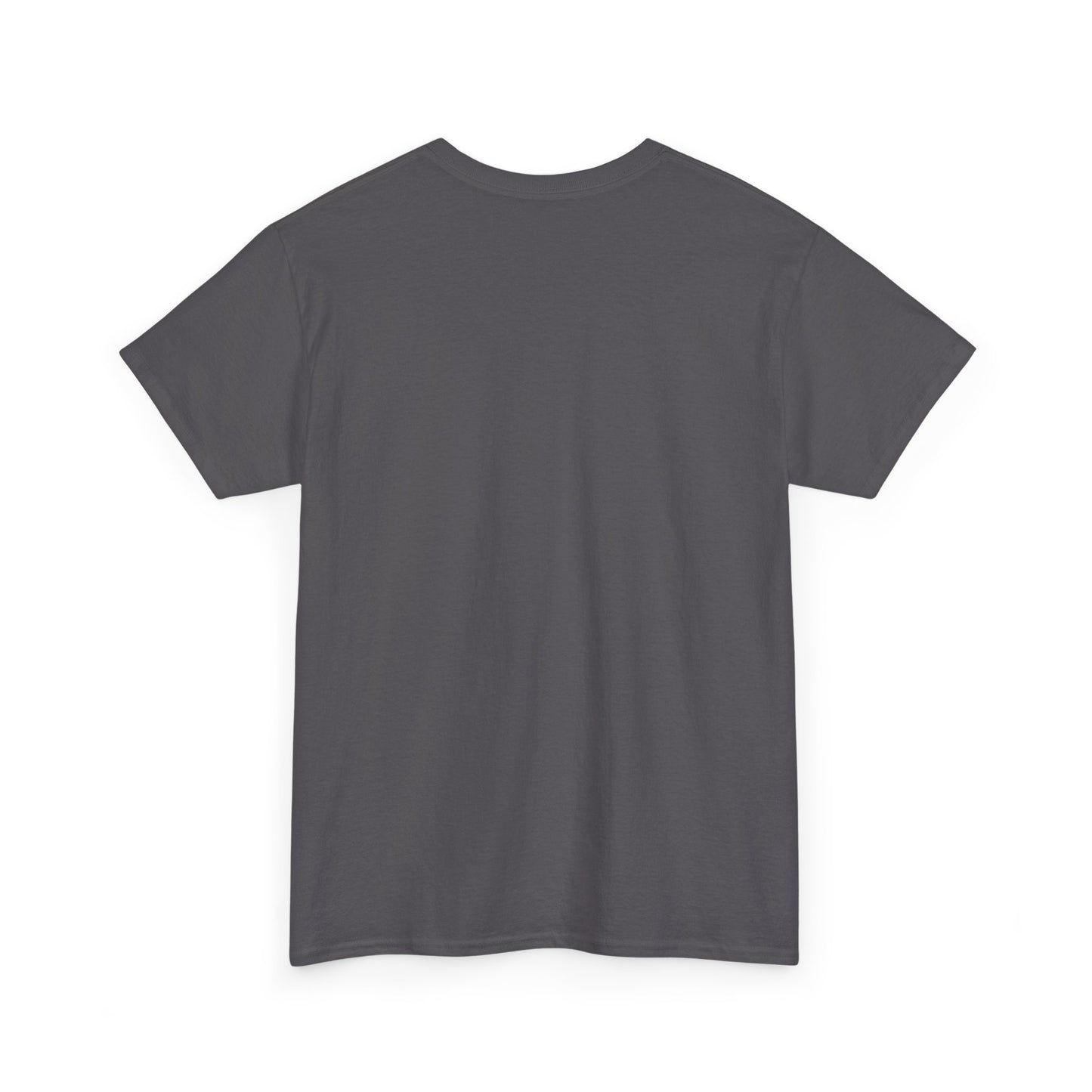 Okauchee Lake Unisex Heavy Tee - Vintage Postmark Style