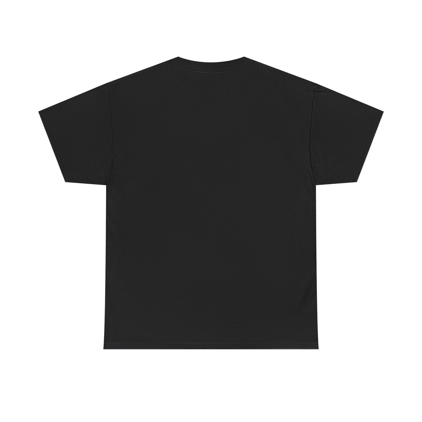 Okauchee Lake Unisex Heavy Tee - Vintage Postmark Style