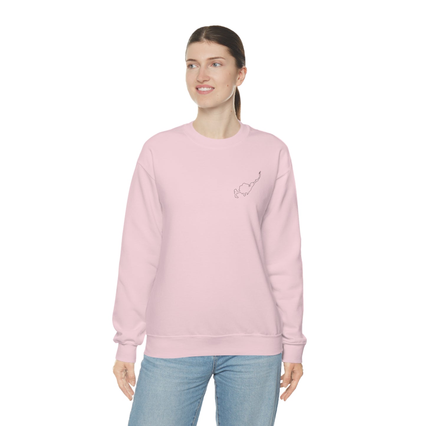 Paddle Board Girl - Park Lake Unisex Heavy Blend™ Crewneck Sweatshirt