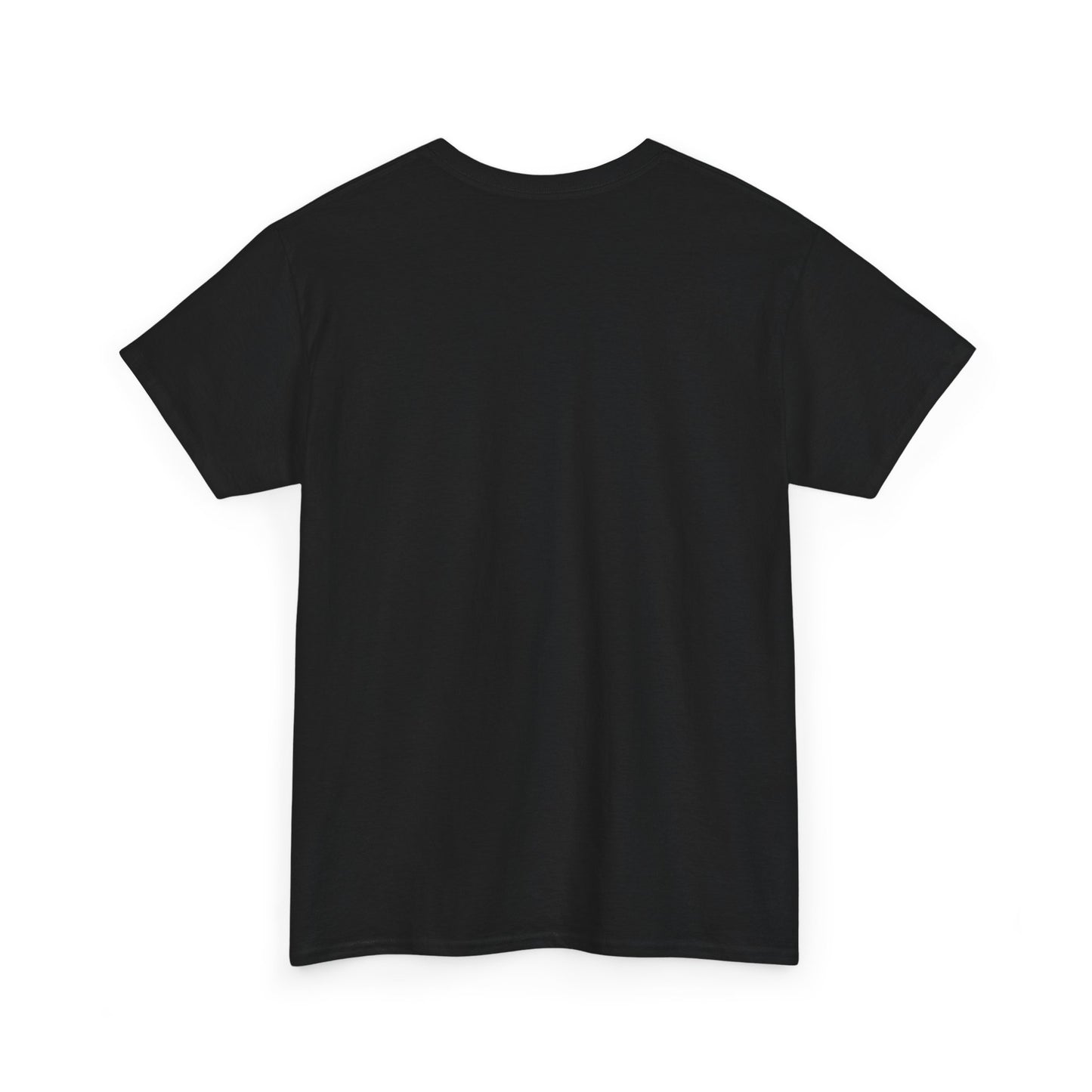 Okauchee Lake Unisex Heavy Tee - Vintage Postmark Style