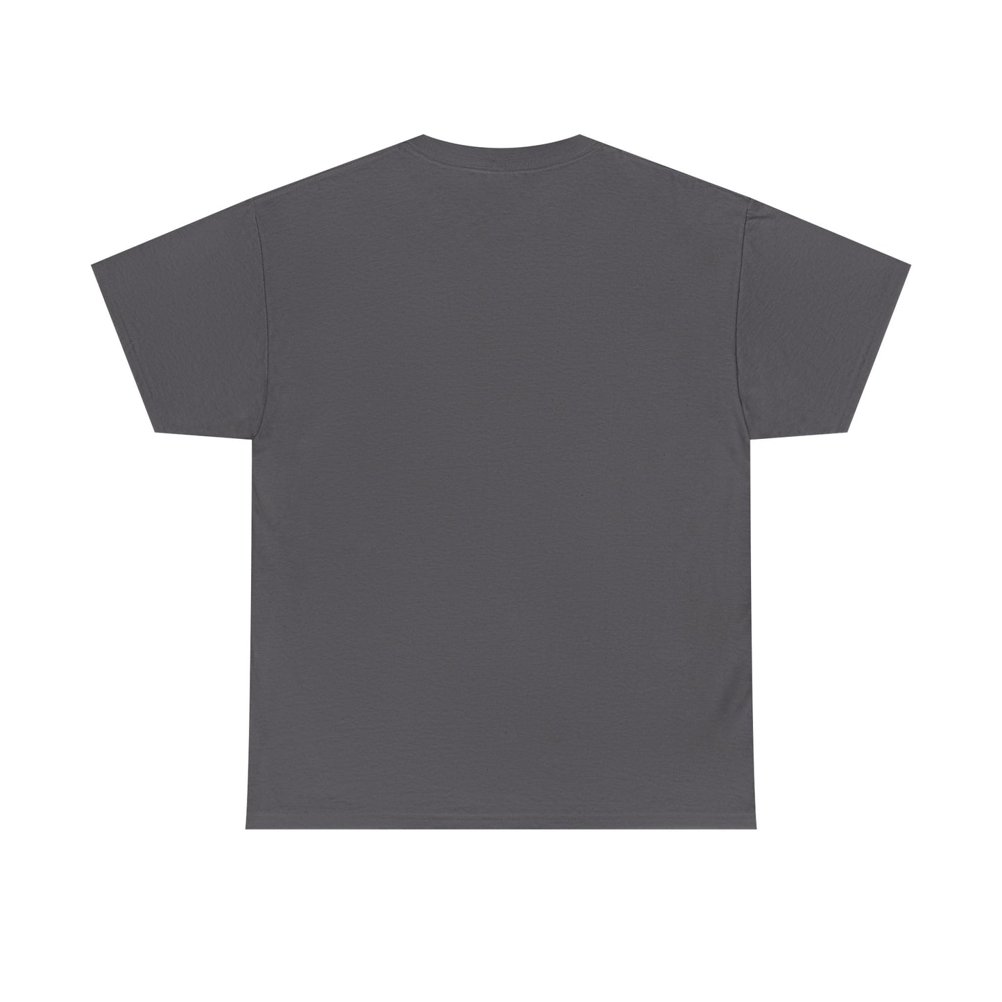 Okauchee Lake Unisex Heavy Tee - Vintage Postmark Style